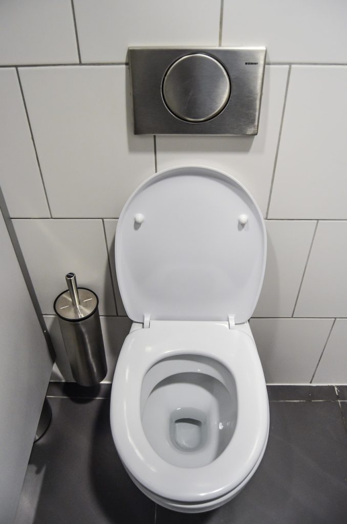 Toilet seat
