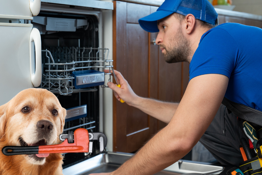 My dog is helping me fix my dishwasher