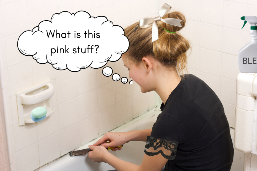 What is this Pink Mold on my Bathtub and How Do I Get Rid of It?