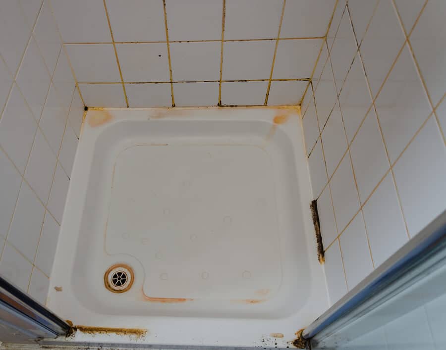 What Is the Orange Stuff on the Wall of a Bathroom Shower?